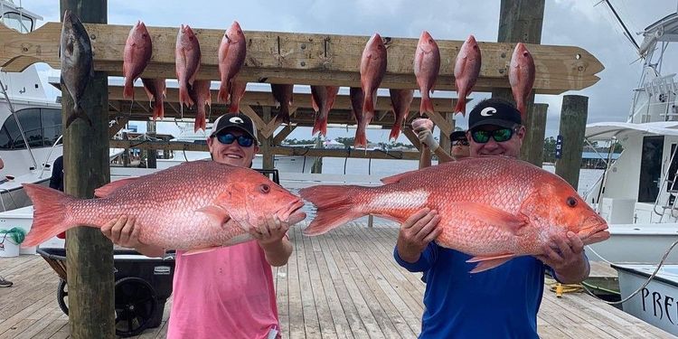 Orange Beach Fishing Charters